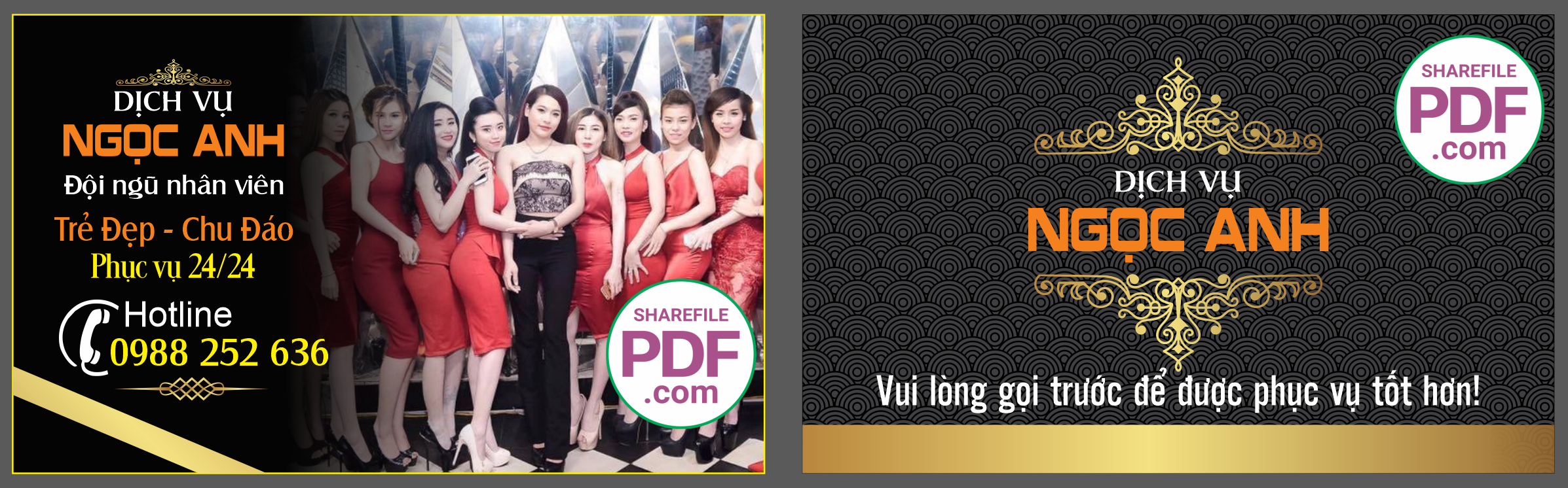 dich vu ngoc anh.png