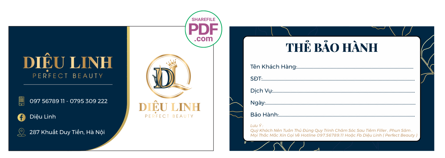 dieu linh perfect beauty.png