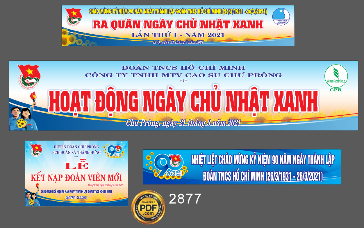 doan tncs Ho Chi Minh hoat dong ngay chu nhat xanh.png