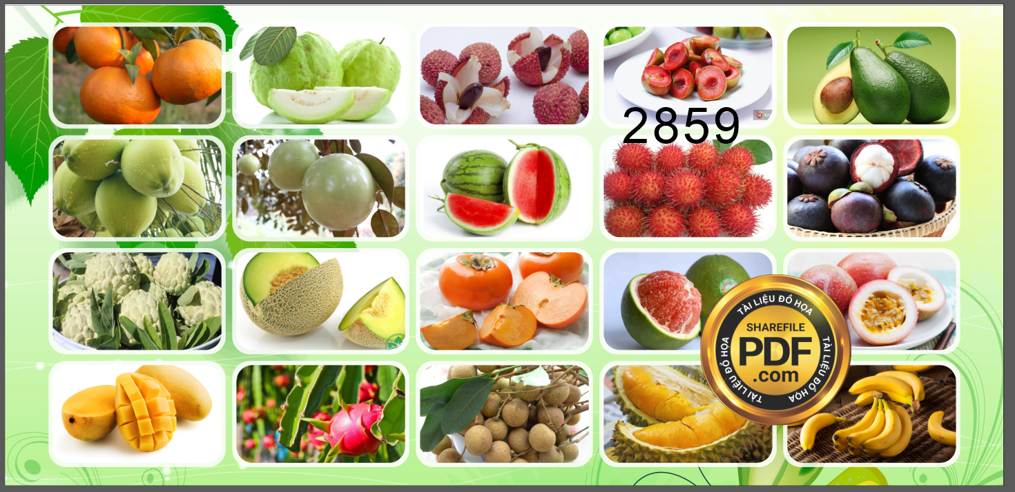duc trang fruit - hoa qua sach 3.png