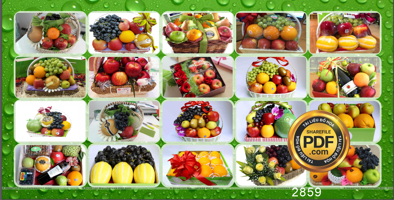 duc trang fruit - hoa qua sach 4.png