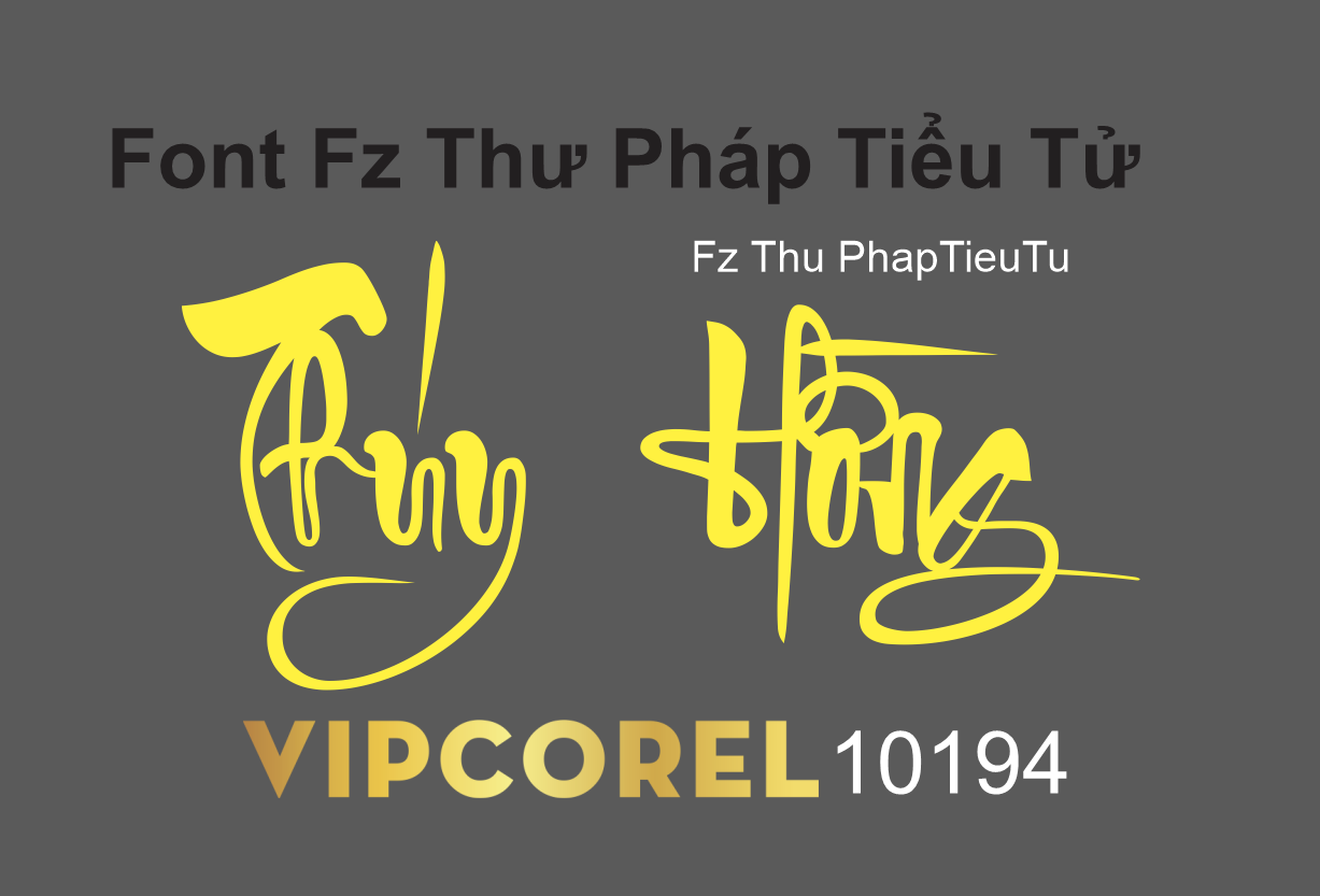 font Fz Thu PhapTieuTu.png