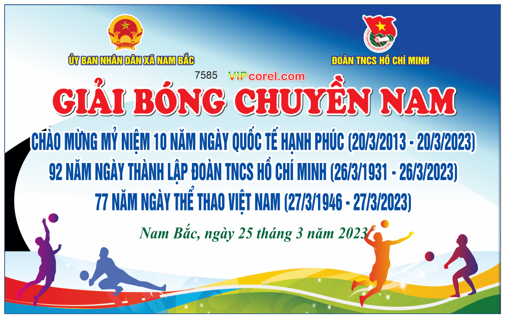 giai bong chuuyen nam doan tncs ho chi minh.png