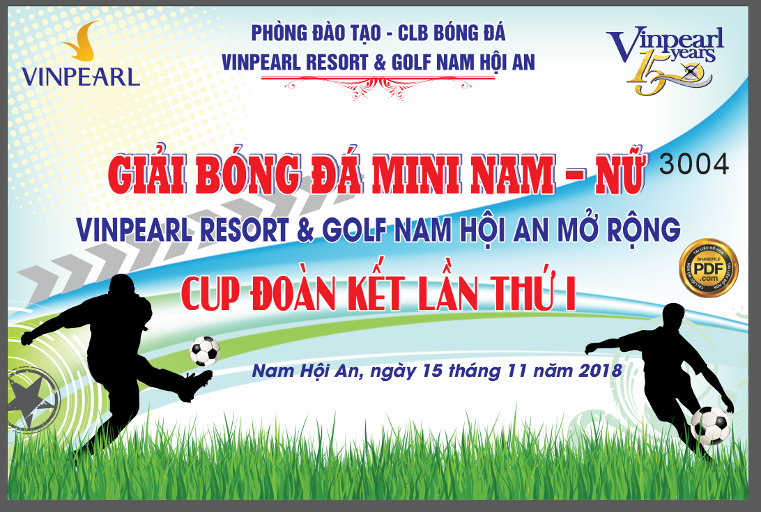 giai bong da mini nam nu - golf nam hoi an.png
