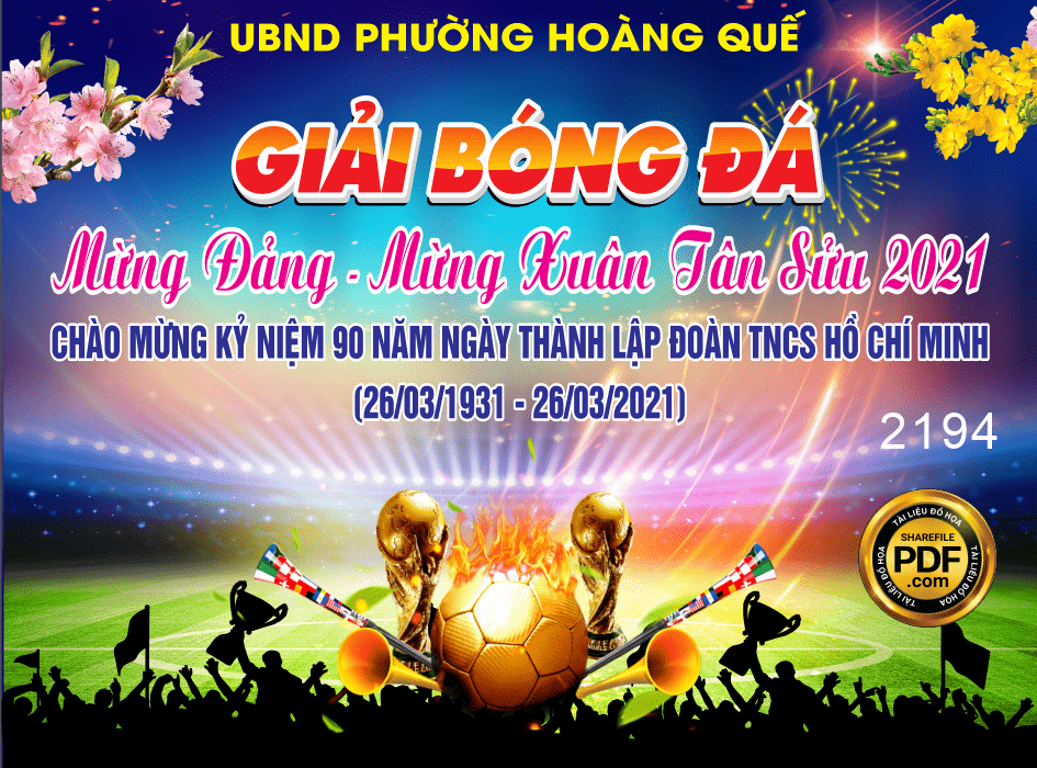 giai bong da mung dang mung xuan phuong hoang que-min.png