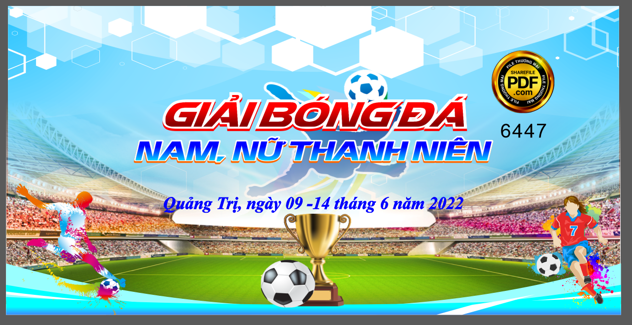 giai bong da nam nu thanh nien chao mung ngay thanh lap doan.png