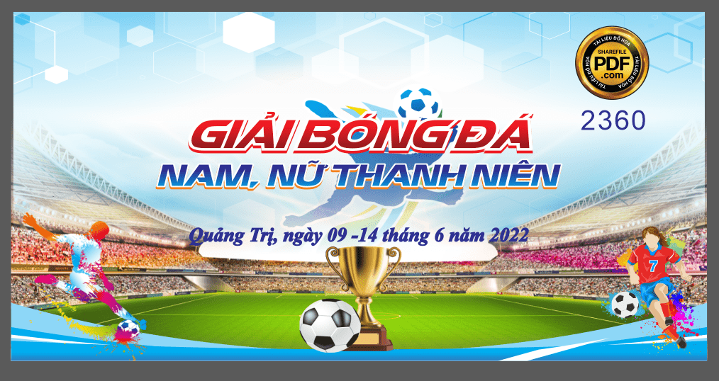 giai bong da nam nu thanh nien doan tncs ho chi minh-min.png