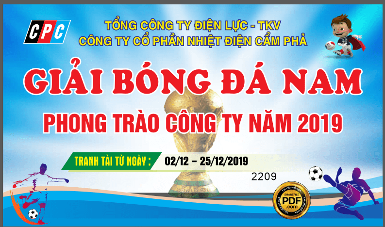 giai bong da nam phong trao cong ty nam 2019-min.png