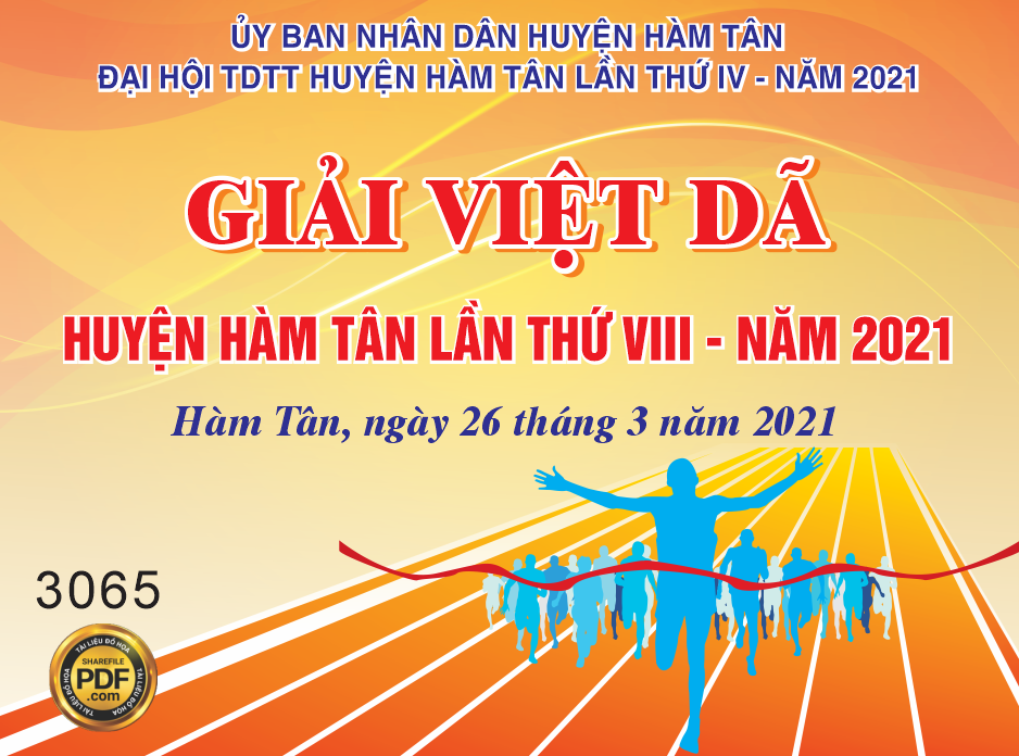 giai chay viet da huyen han tan lan thu viii.png