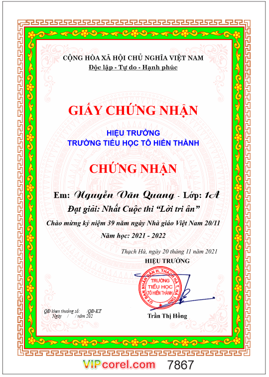 giay chung nhan nhat cuoc thi loi tri an.png