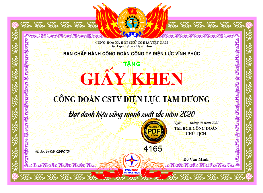giay khen cong doan cong ty dien luc vinh phuc.png