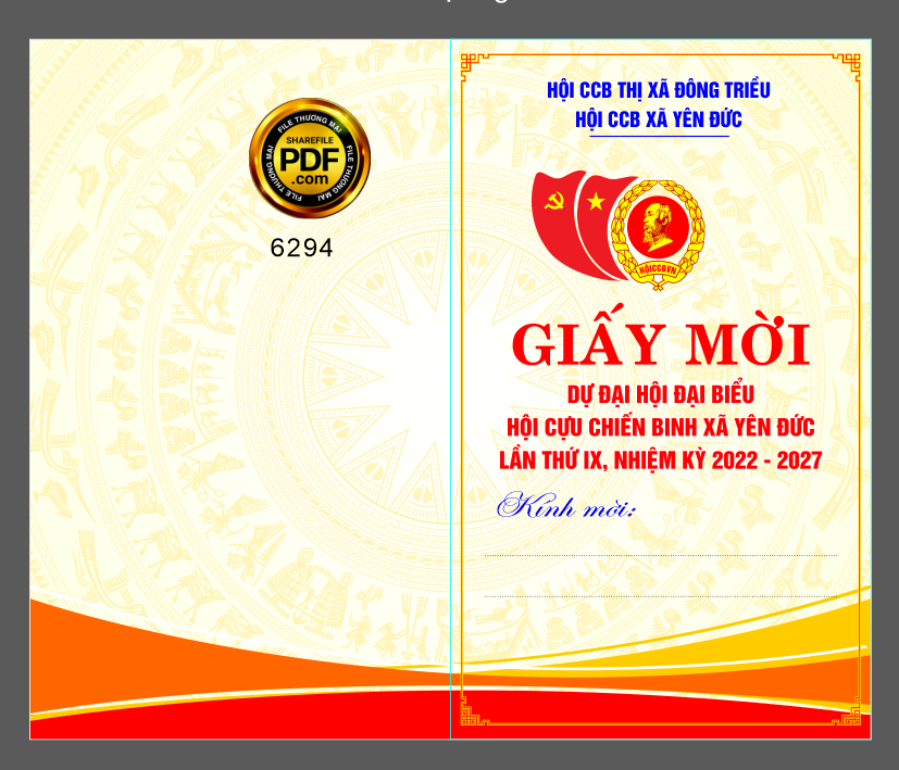 giay moi dai hoi hoi cuu chien binh lan thu ix - nhiem ky 2023 - 2028.png