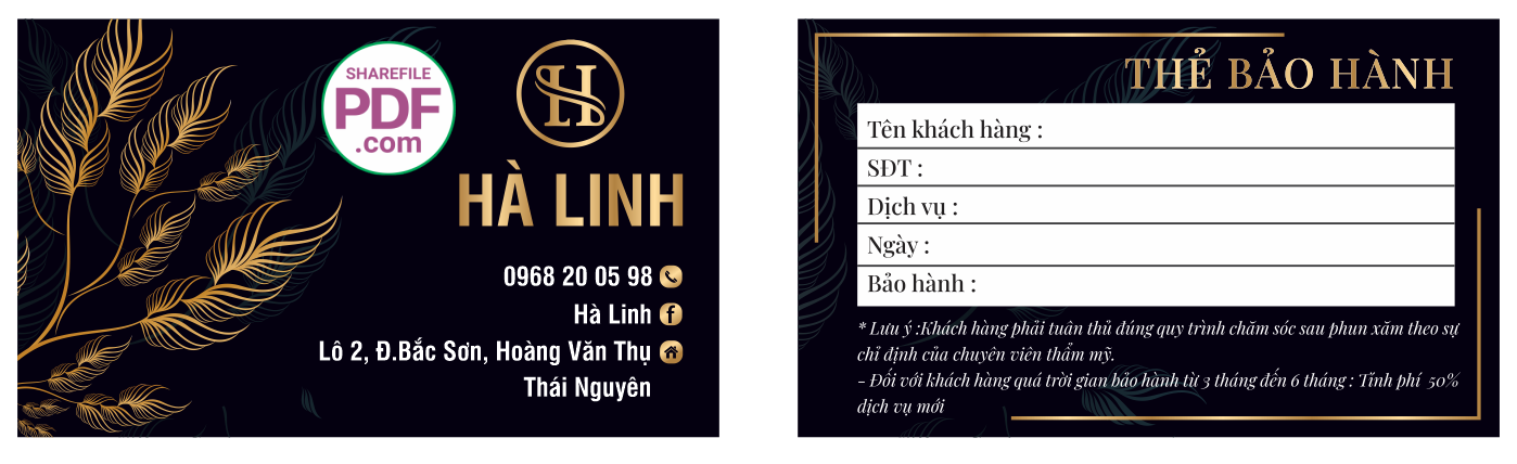 ha linh - the bao hanh.png