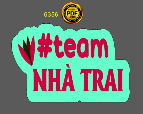 hastag dam cuoi team nha trai.png