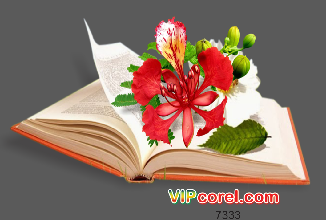 hinh quyen sach kep hoa phuong do file PNG.png