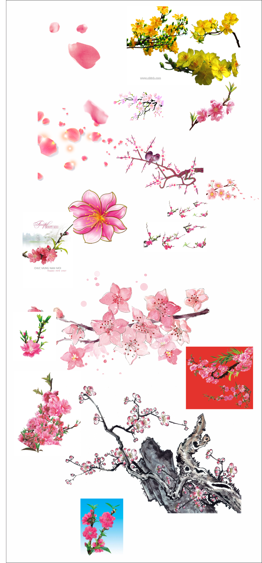 hoa dao hao mai trang tri ngay tet file photoshop 2.png