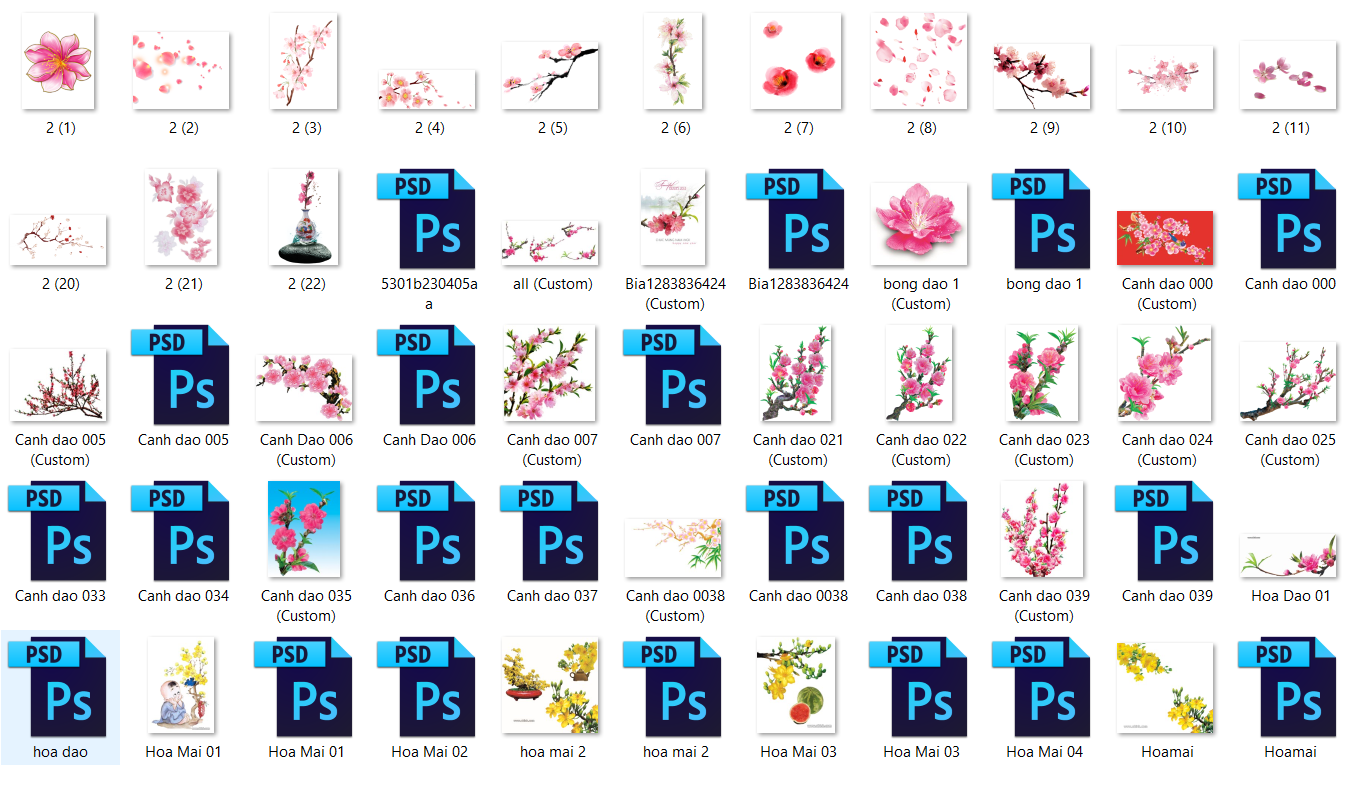 hoa dao hao mai trang tri ngay tet file photoshop 5.png
