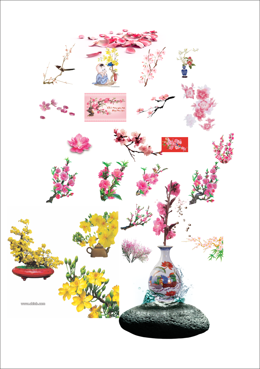 hoa dao hao mai trang tri ngay tet file photoshop.png