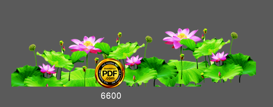 hoa tiet hoa sen trang tri pano #3.png