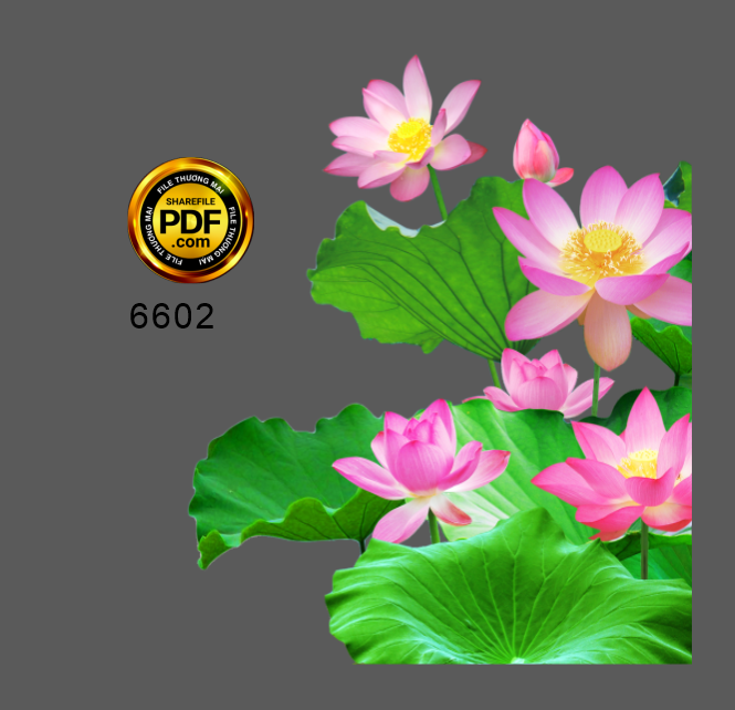 hoa tiet hoa sen trang tri pano #4.png