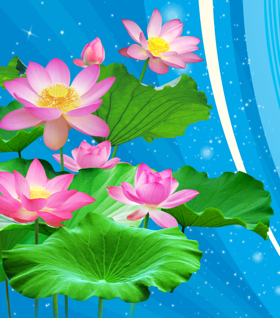 hoi thi thuyen truyen quy tac ung xu 2.png