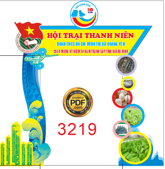 hoi trai thanh nien ky niem thanh lap tinh quang ninh.png