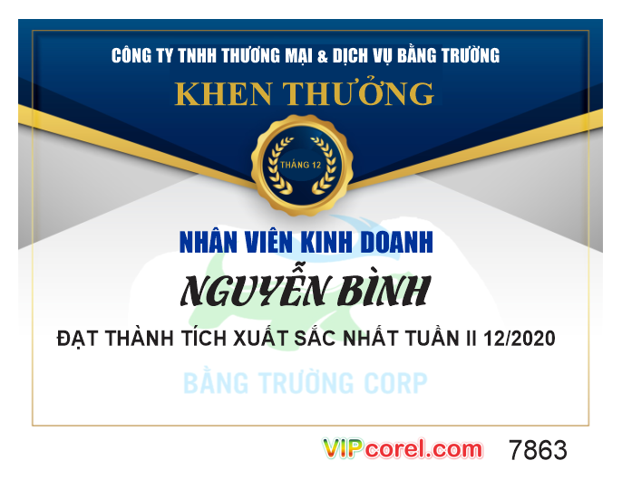 khen thuong nhan vien kinh odanh - bang truong corp.png