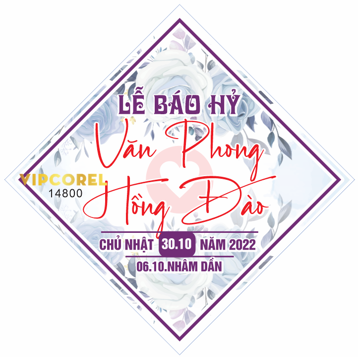 le bao hy van phong hong dao.png