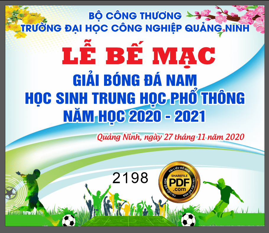 le be mac giai bong da nam-min.png