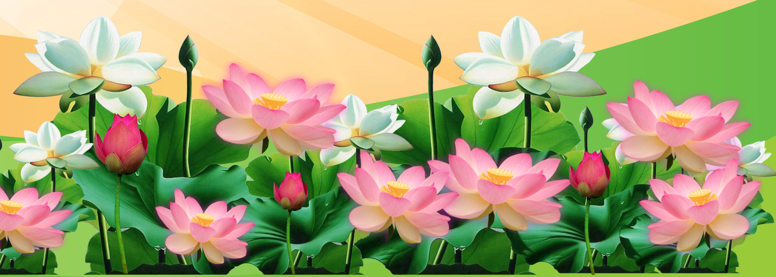 le khai mac dai hoi the duc the thao huyen phu giao 3.png