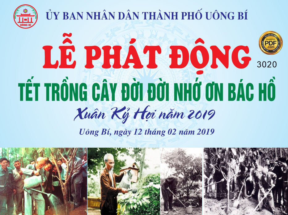 le phat dong tet trong cay doi doi nho on bac ho - tp uong bi.png