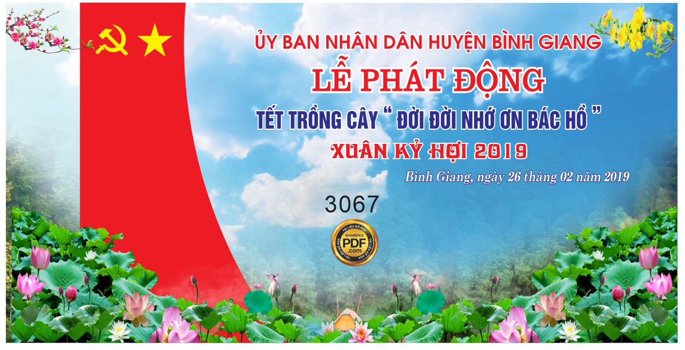 le phat dong tet trong cay xuan ky hoi 2019.png