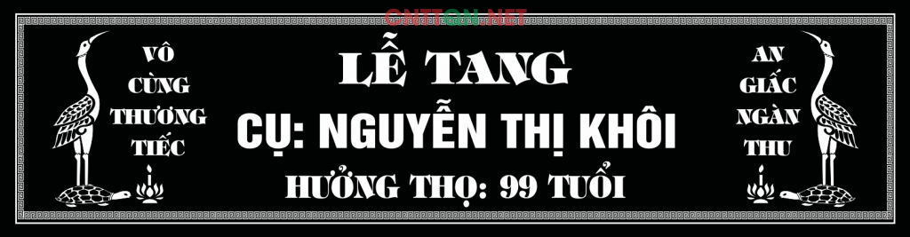 le trang vo cung thuong tiec.png