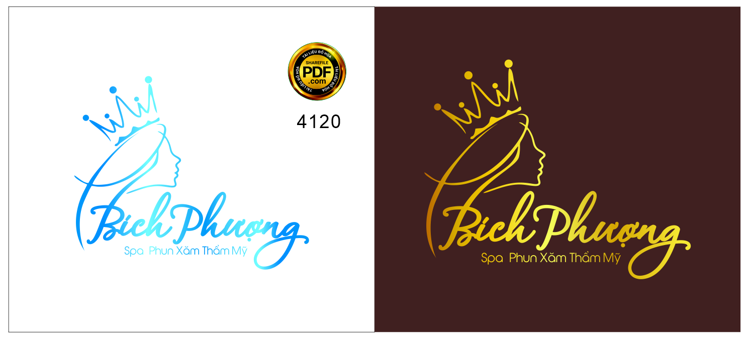 logo bich phuong spa phun xam tham my.png