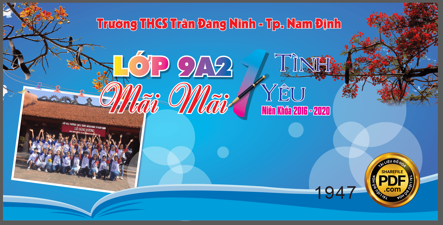 lop 9a2 mai mai 1 tinh yeu thcs tran dang ninh-min.png