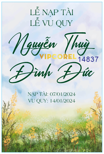 mau bang ten dam cuoi dung - le nap tai le vu quy.png