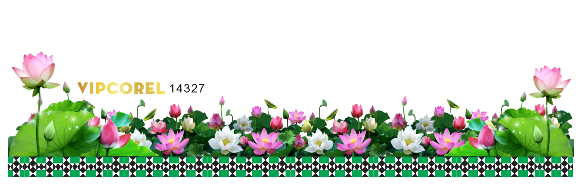 mau chan hoa sen dep 2025.png