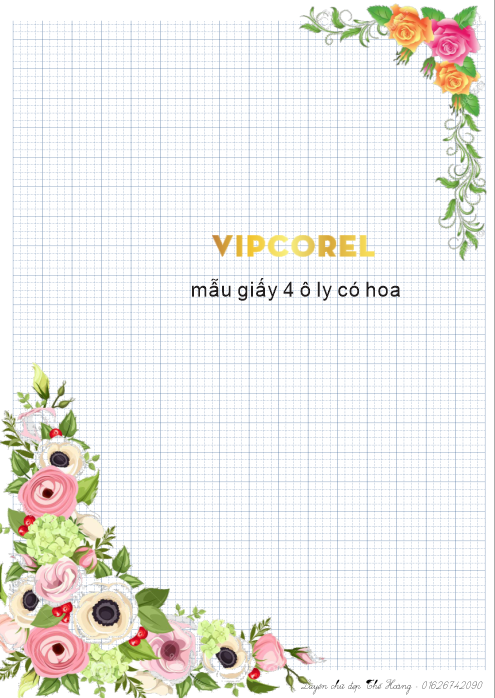 mau giay 4 o ly co hoa.png