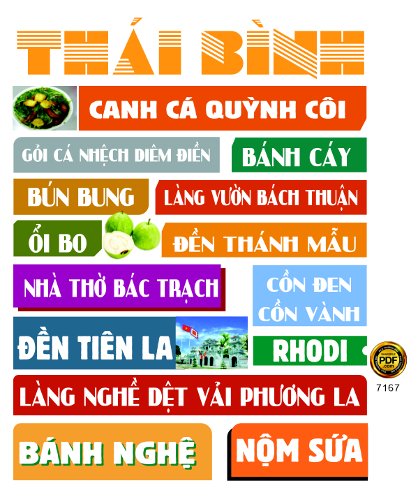 mau in ao du lich thai binh.png