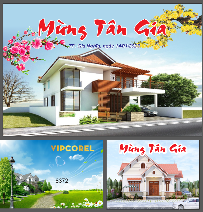 mau mung tan gia nha pho.png