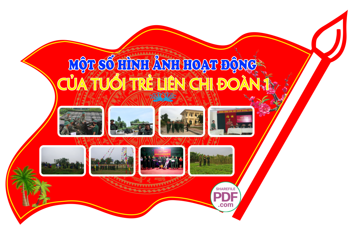 mot so hinh anh hoat dong cua tuoi tre lien chi doan 1.png