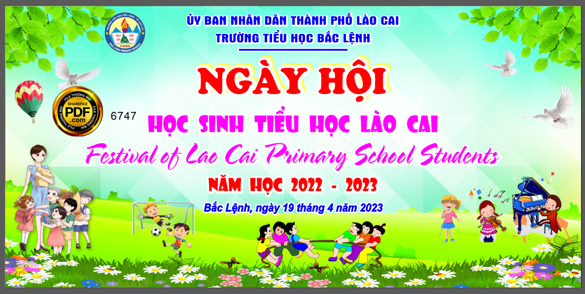 ngay hoi hoc sinh tieu hoc lao cai - bac lenh.png