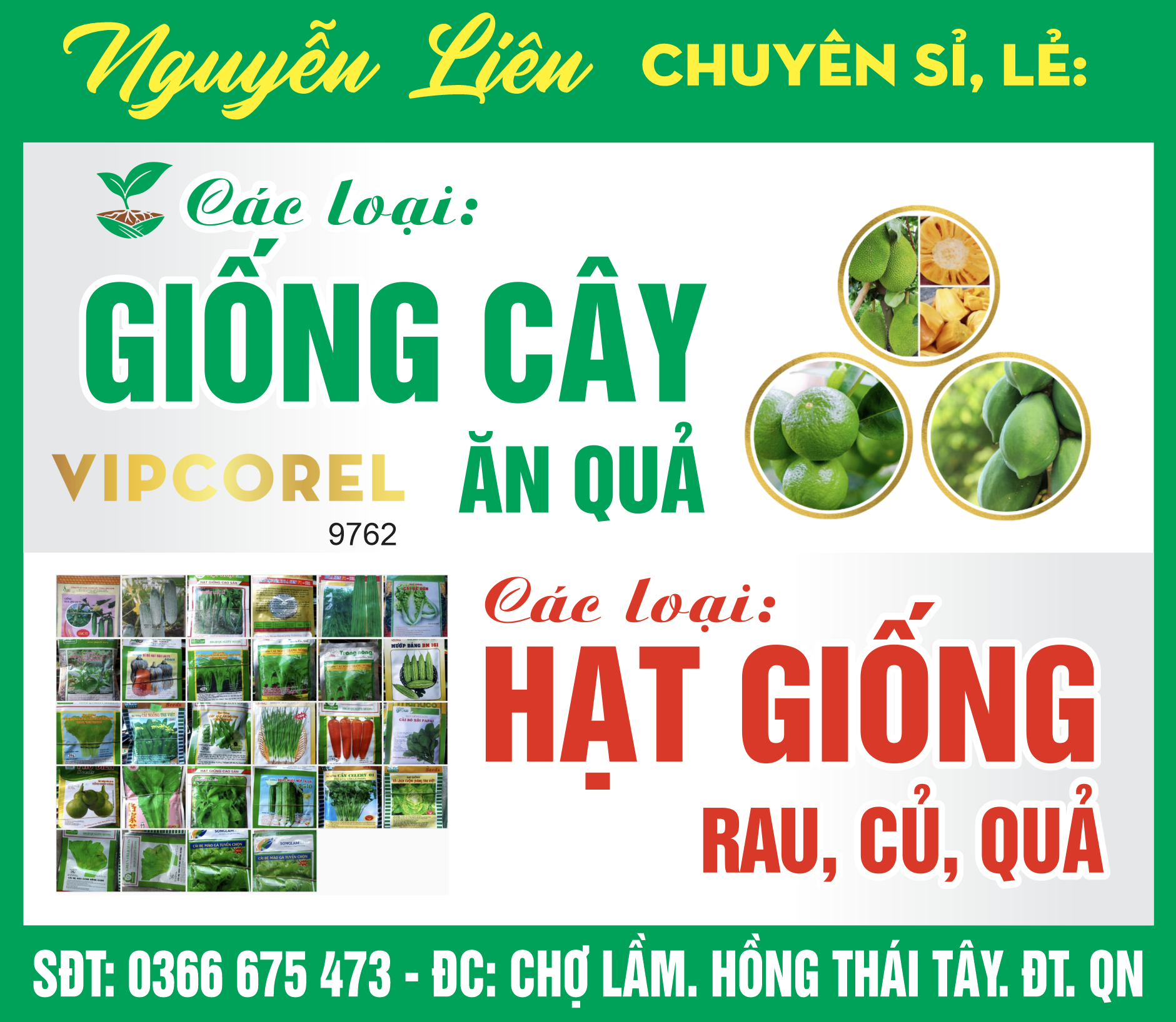 nguyen lien chuyen giong cay - hat giong.png