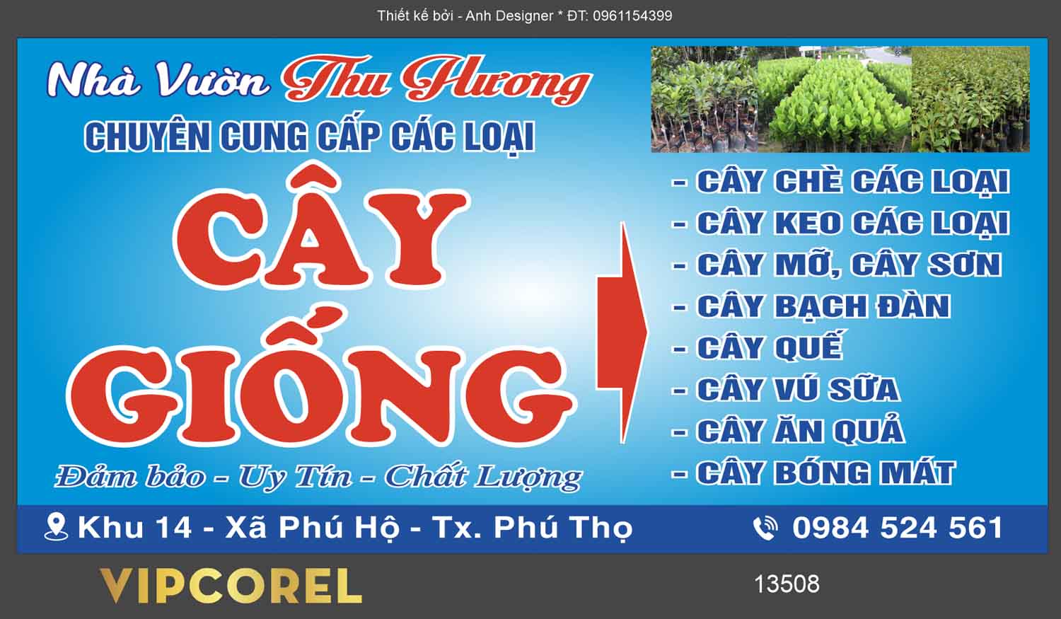 nha vuon - thu phuong - cay giong.jpg
