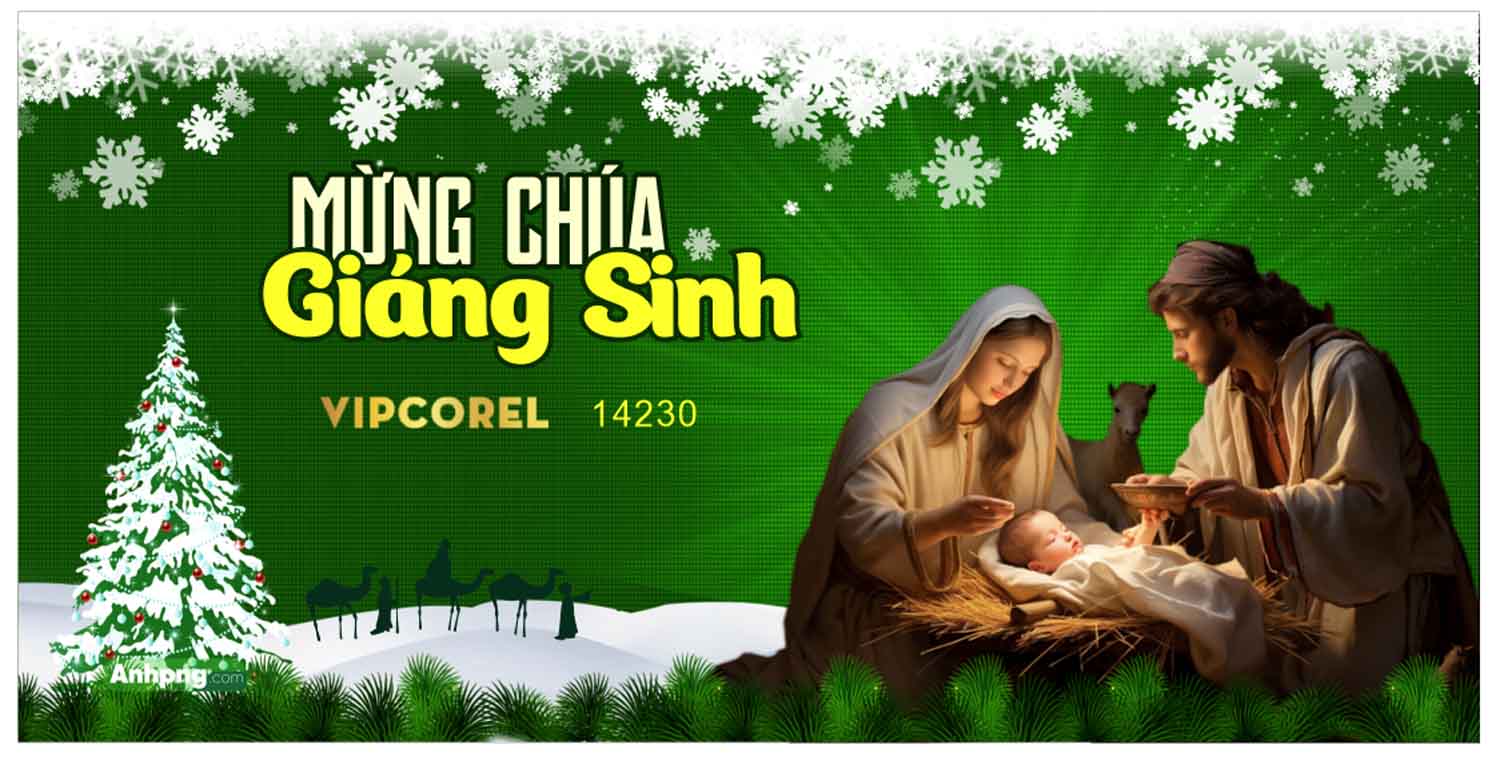 noel giang sinh 2025 #17.jpg