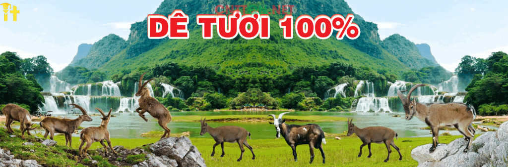 nui rung de tuoi.png