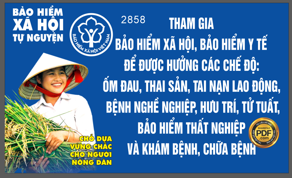 pano bao hiem xa hoi viet nam 4.png