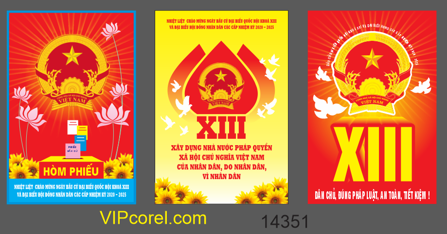 pano bau cu dai bieu quoc hoi #12.png