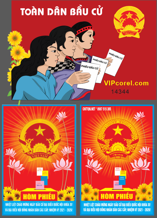 pano bau cu dai bieu quoc hoi #4.png