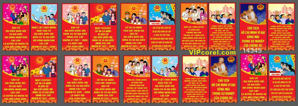 pano bau cu dai bieu quoc hoi #5.png